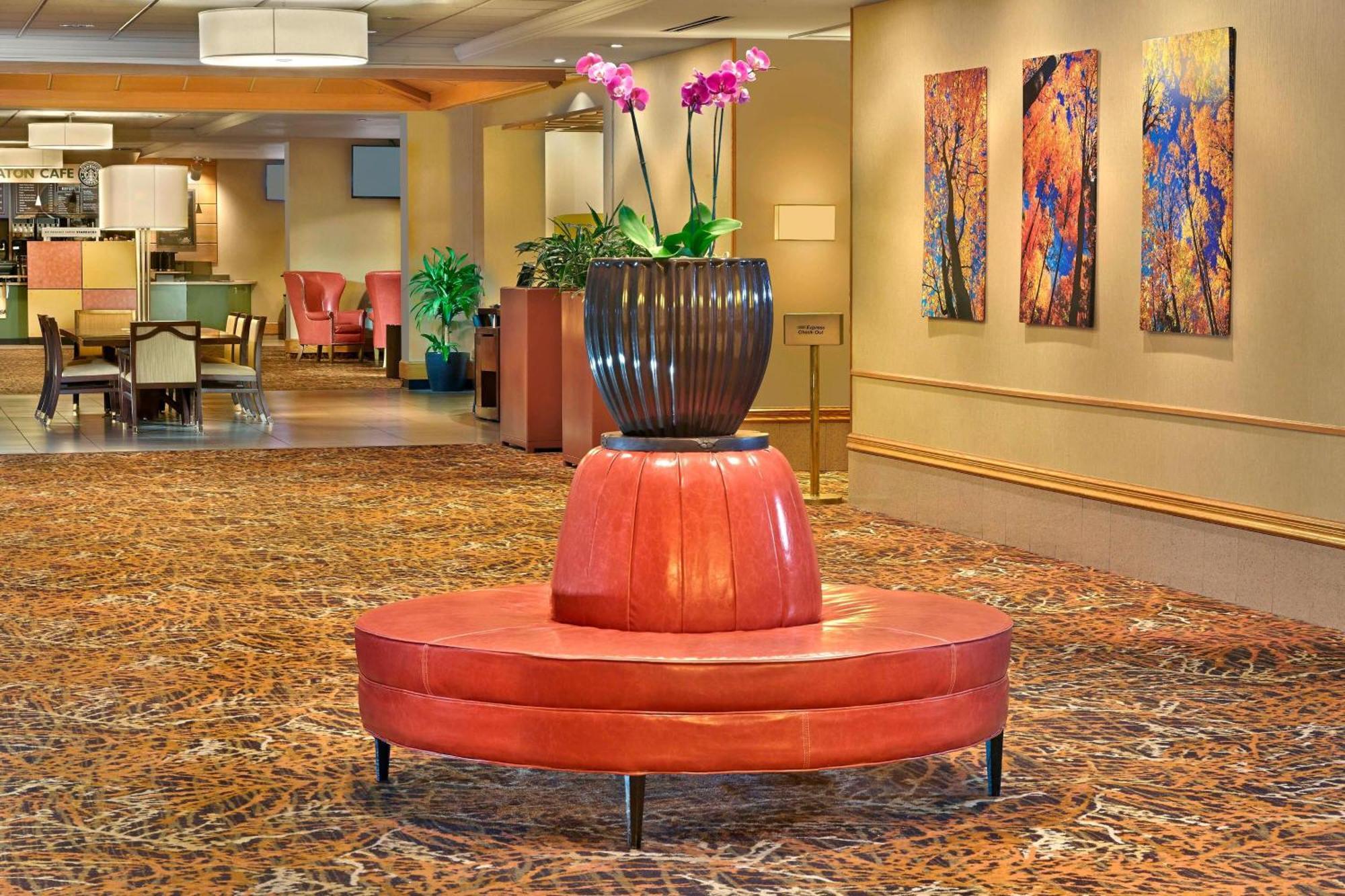 Sheraton Hartford Hotel At Bradley Airport Windsor Locks Ngoại thất bức ảnh